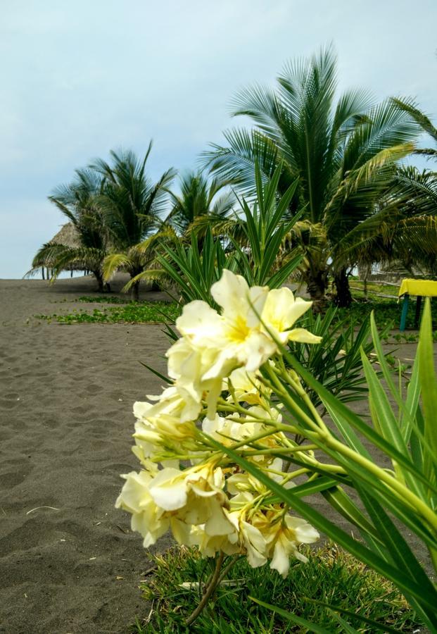 Eco-Hotel Playa Quilombo Лас-Лисас Экстерьер фото